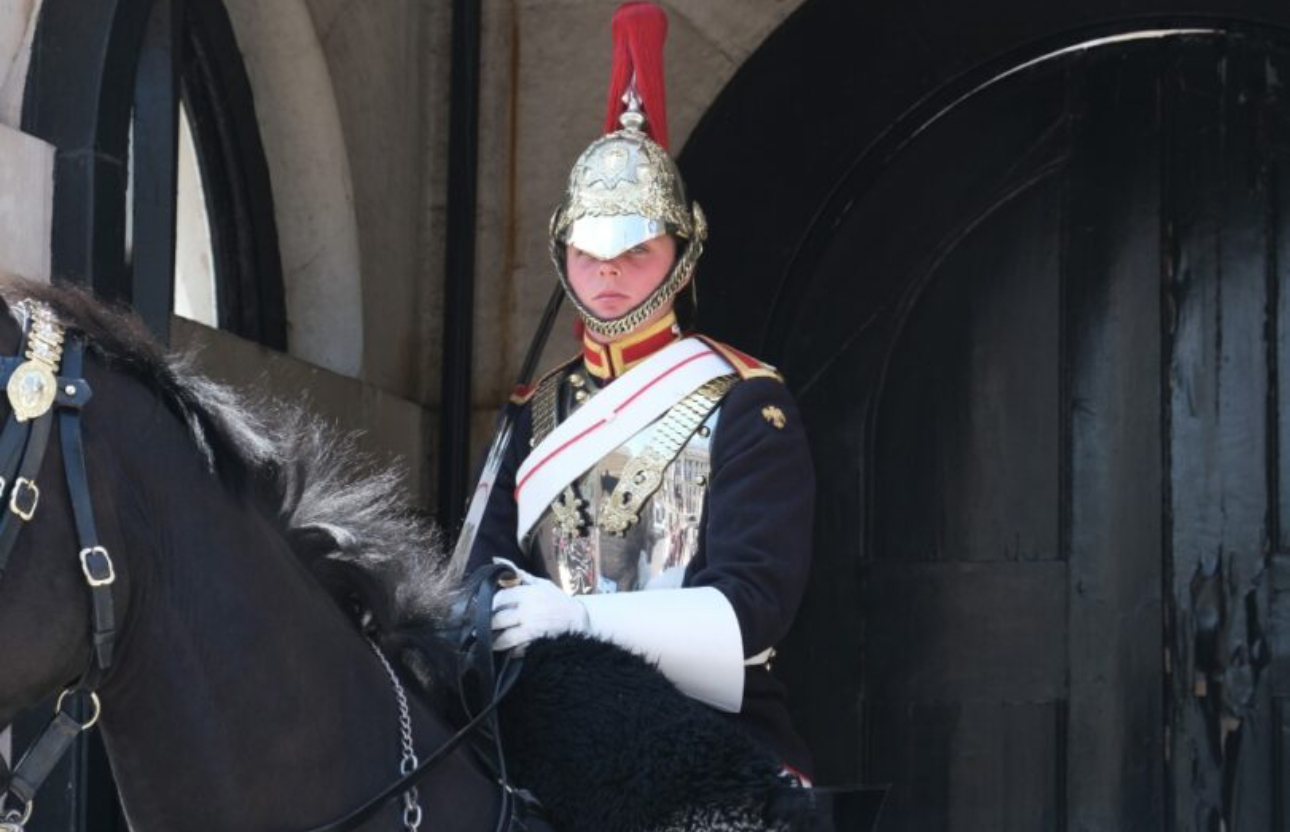 Tourist ignores warnings, gets bitten by King’s Guard horse