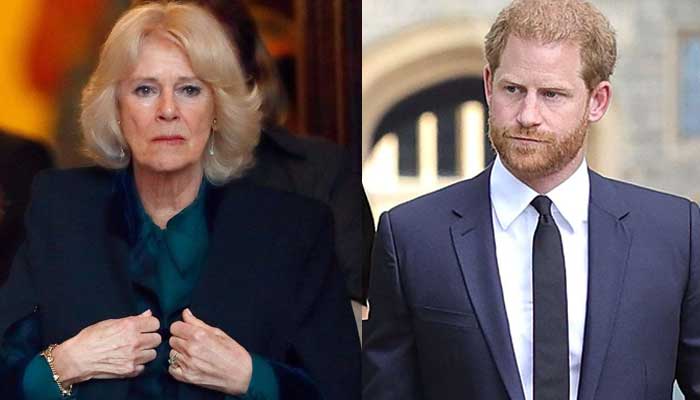 Queen Camilla sends strong message to Prince Harry: ‘respect’