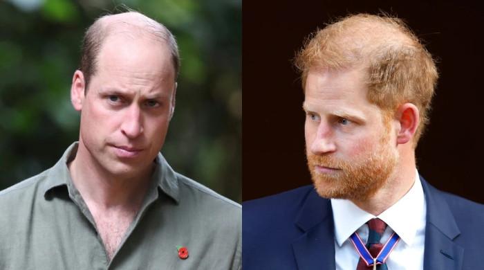 Prince William shatters Prince Harry’s big dream: ‘Really hurt’
