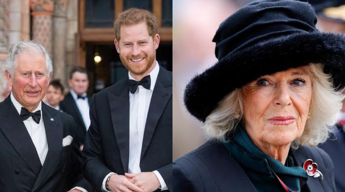 King Charles upsets Queen Camilla amid peace talks with Prince Harry