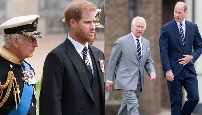 King Charles, Prince Harry reunion: William ‘biggest obstacle’