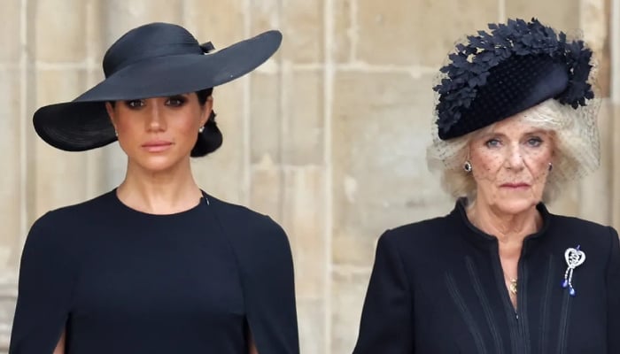 Queen Camilla pens personal note to author who criticised Meghan Markle