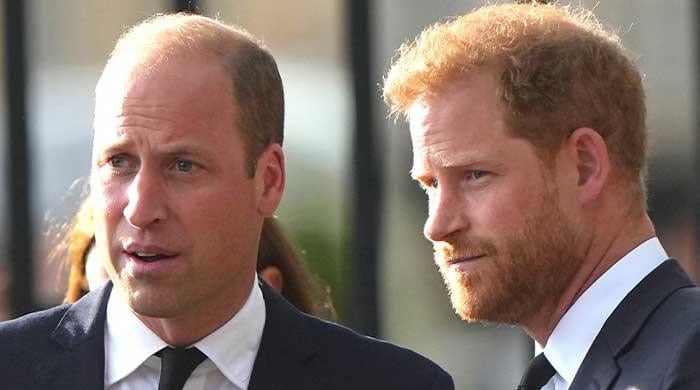 Prince William, Prince Harry spark reactions with bombshell decision
