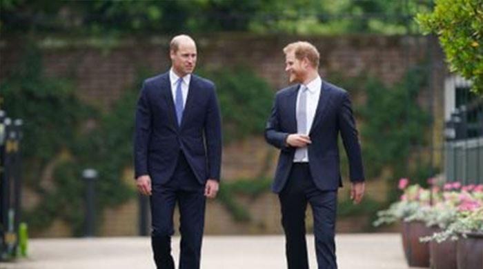 Prince William and Harry reunite with rarely seen aunt —Is reconciliation on horizon?