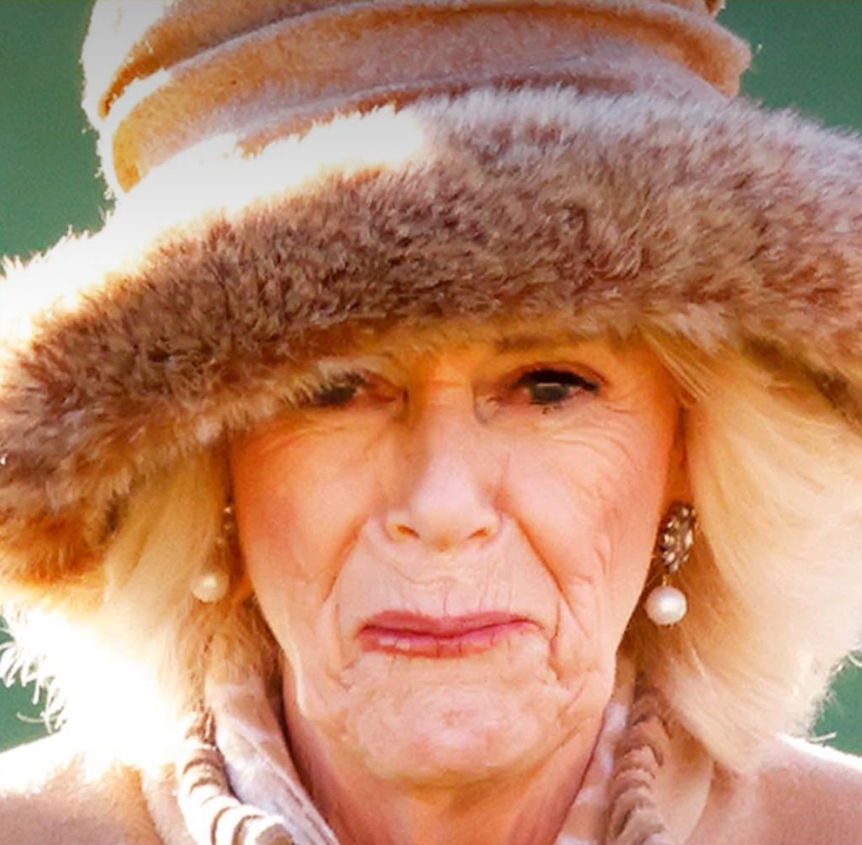 Camilla was afraid of going out shopping and ‘hid in her house’ when affair with Charles was made public, expert claims