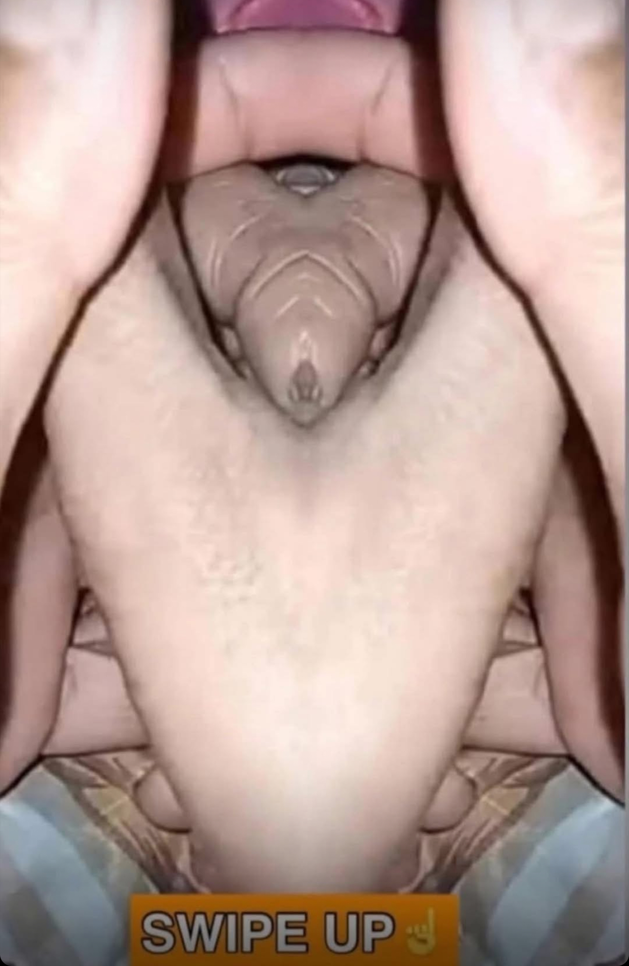 26 Pictures That Need A Second Look