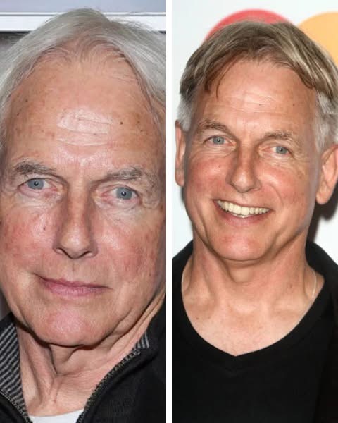Mark Harmon, best known for his portrayal of Leroy Jethro Gibbs on the long-running television series NCIS, has become a beloved figure in both television and film.