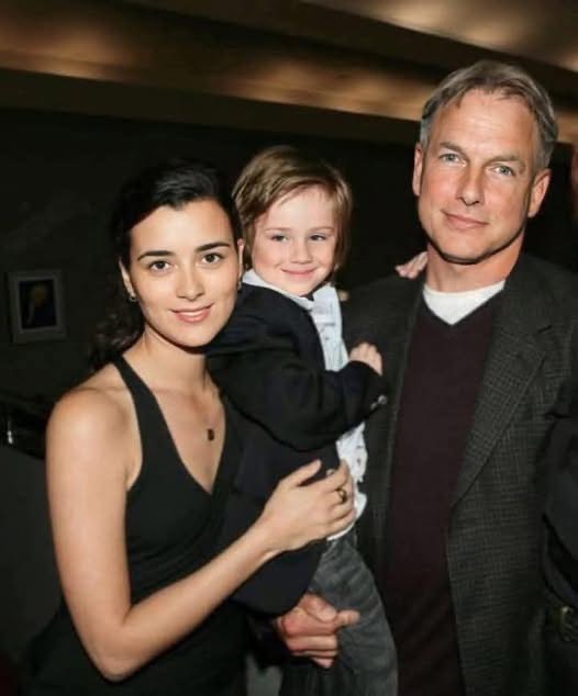 Cote De Pablo Finally Confirms What We All Suspected About Mark Harmon