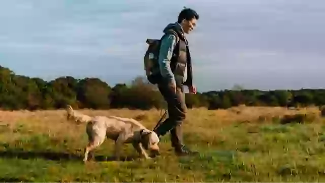 Study reveals how many minutes of walking you should do per day to prevent dying early